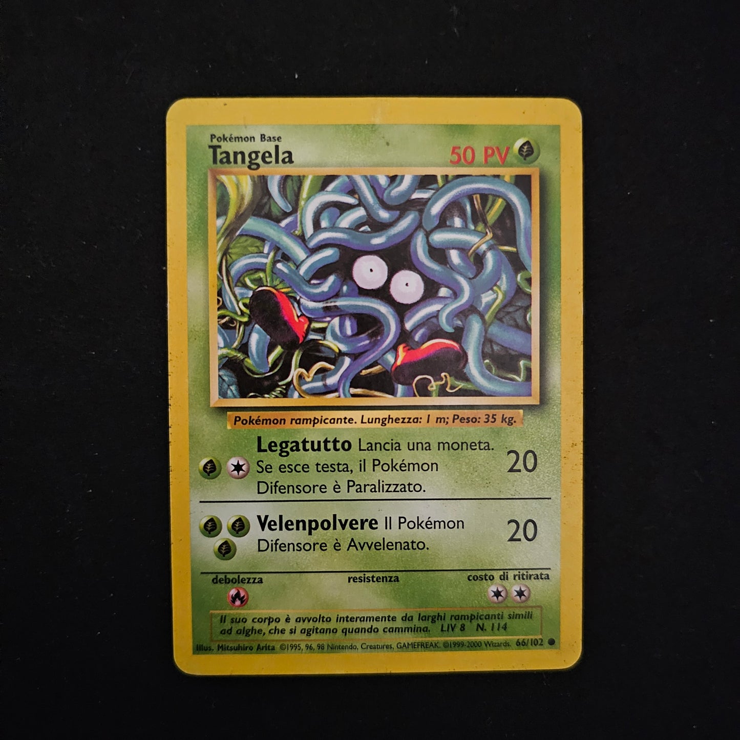 Tangela 66/102 ITA Mpalyed