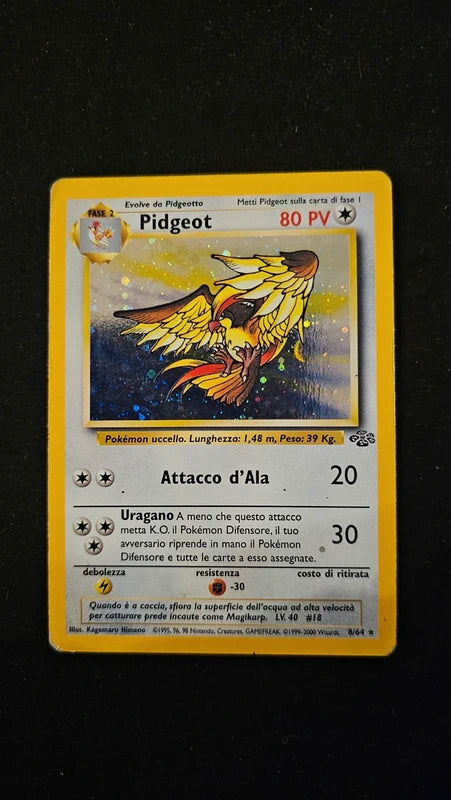 Lotto carte pokèmon