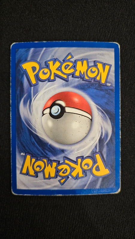 Lotto Carte Pokemon