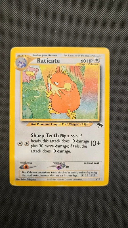 Raticate - 6 - Southern island