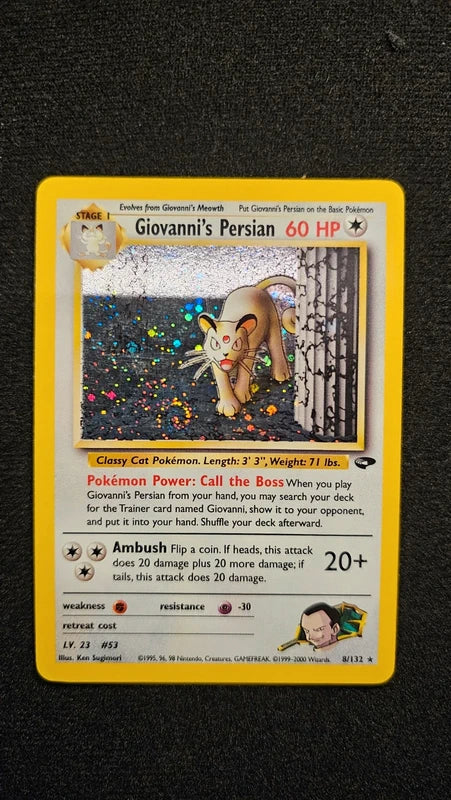 Giovanni's Persian - 8 - Gym challenge
