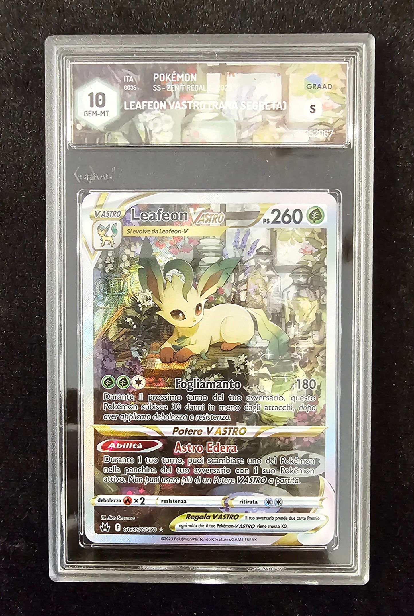 Leafeon VASTRO GG35/GG70 - Zenit regale