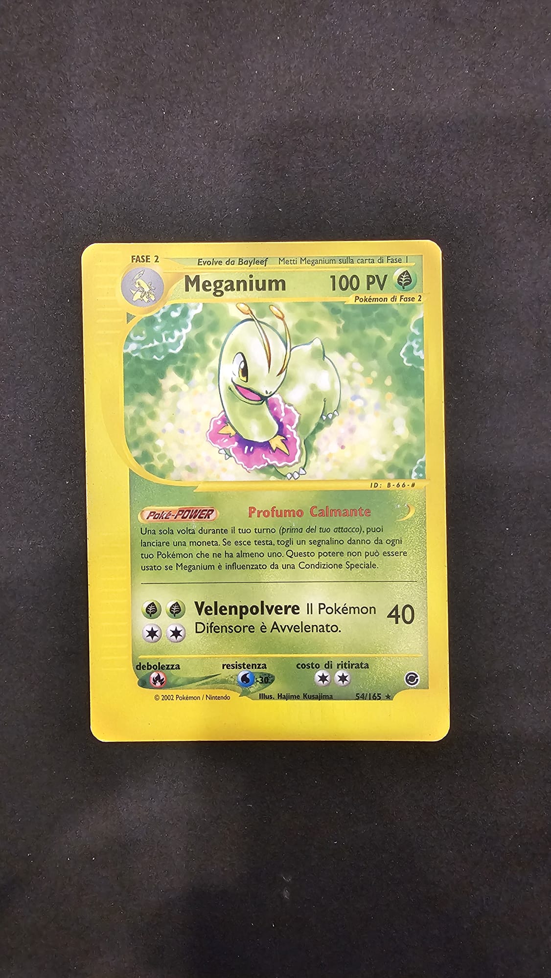 Meganium - 54 - Expedition