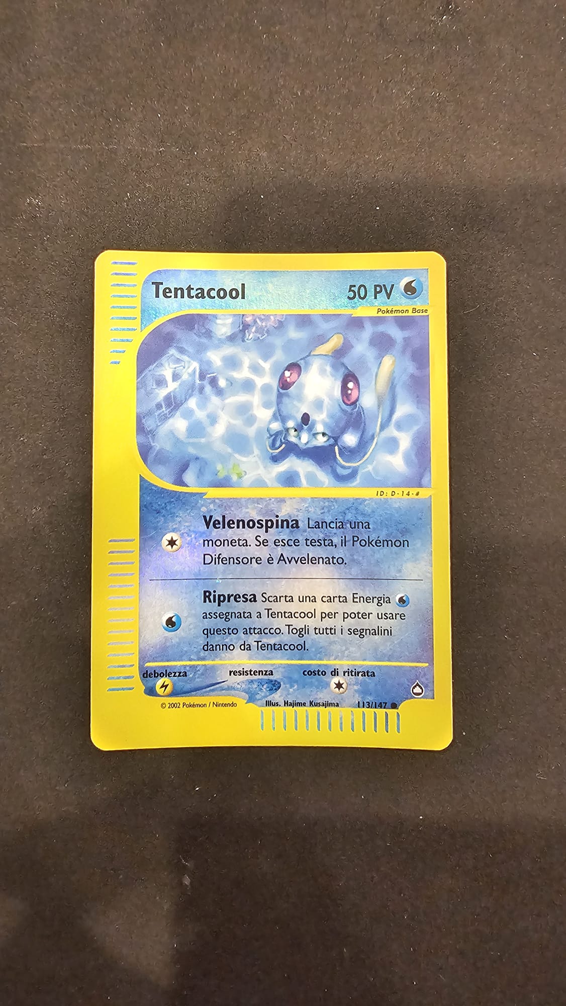Lotto carte Pokèmon