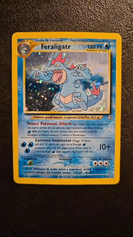 Lotto Carte Pokemon